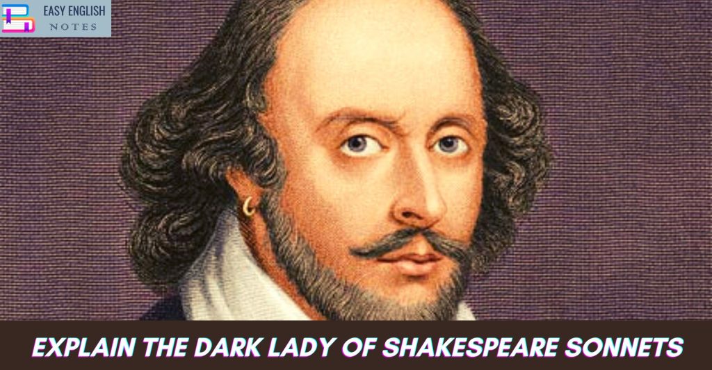 Explain the Dark Lady of Shakespeare
