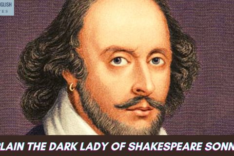 Explain the Dark Lady of Shakespeare Sonnets