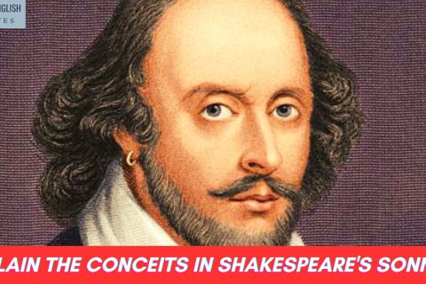 Explain the conceits in Shakespeare's Sonnets