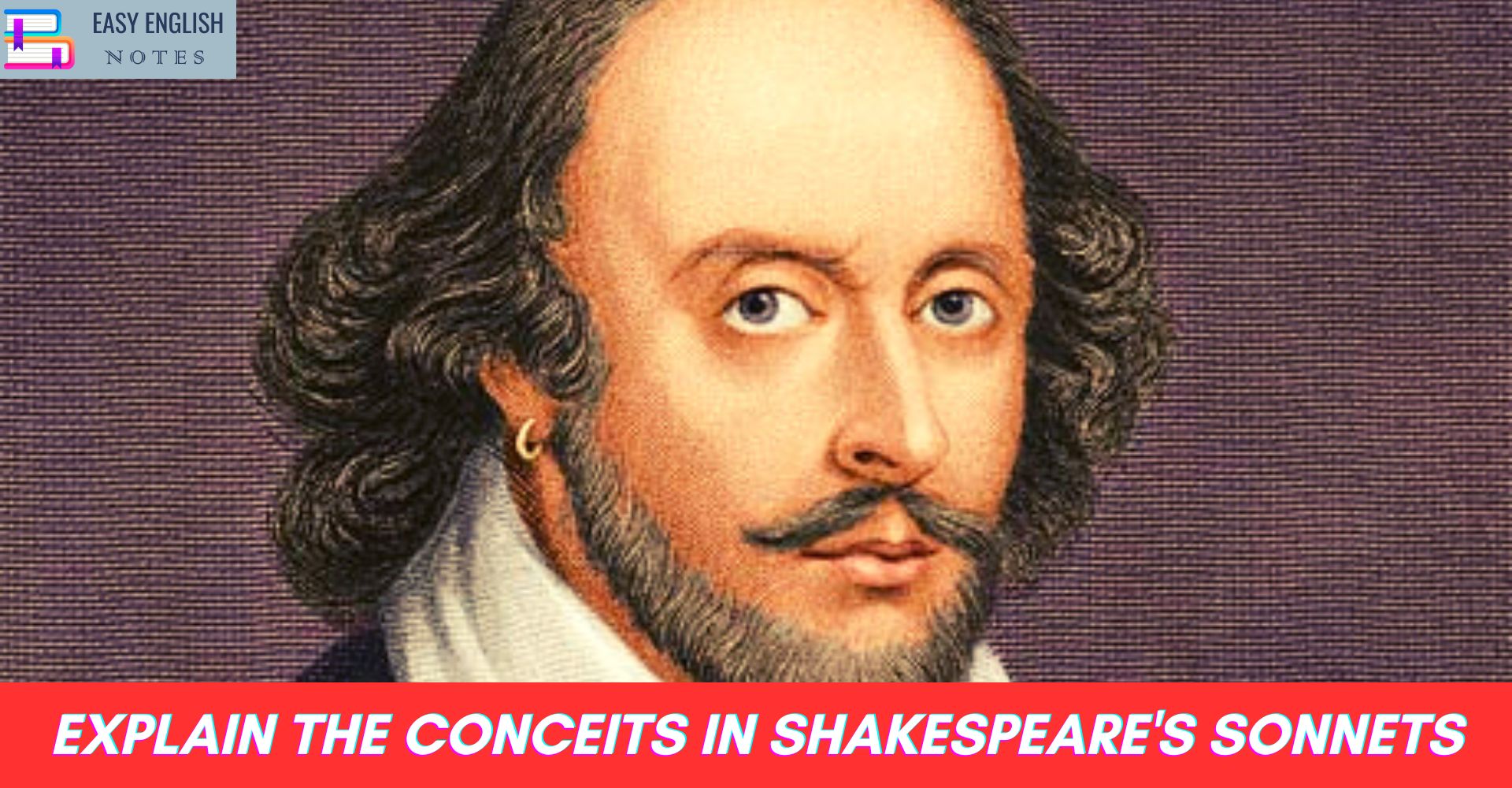 Explain the conceits in Shakespeare's Sonnets
