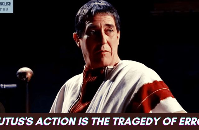 Brutus's action is the tragedy of Error