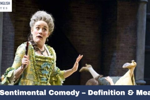 Anti-Sentimental Comedy – Definition & Meaning