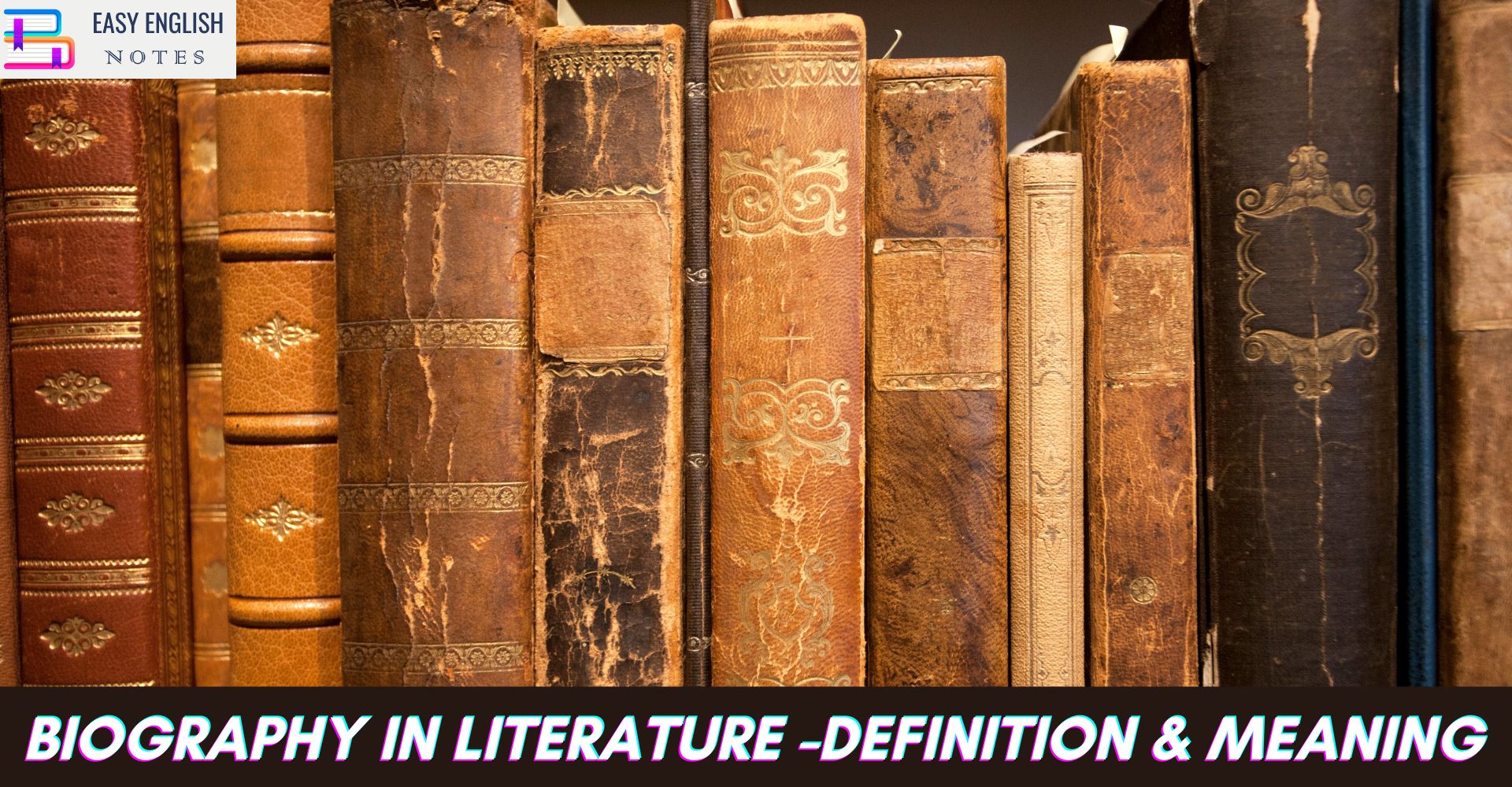 Biography In Literature Definition Meaning