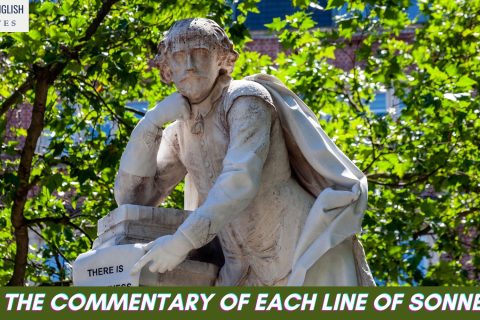 Give the commentary of each line of Sonnet 127