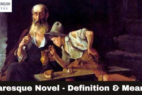 Picaresque Novel - Definition & Meaning