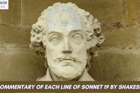 The Commentary of Each Line of Sonnet 19 by Shakespeare