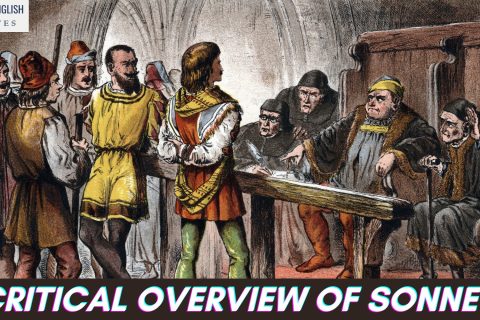 A Critical Overview of Sonnet 19