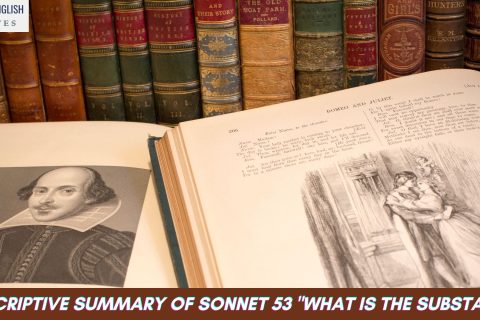 A Descriptive Summary of Sonnet 53 "What is the substance.."