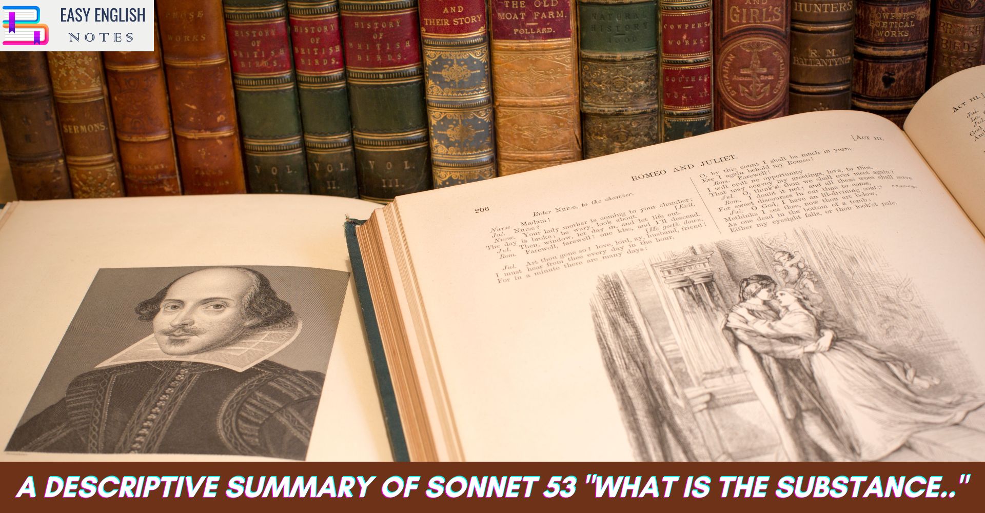 A Descriptive Summary of Sonnet 53 "What is the substance.."