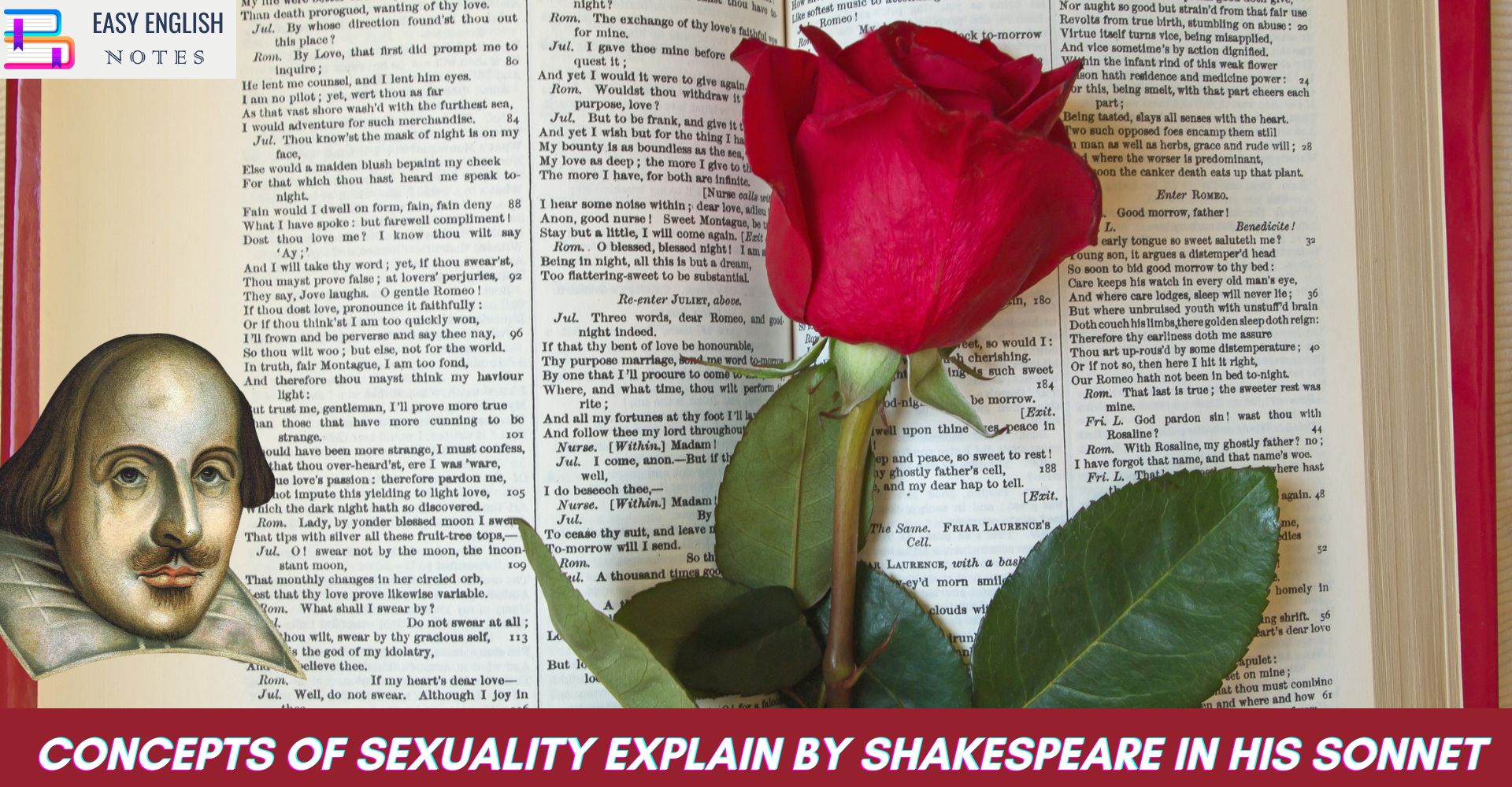 Concepts of Sexuality Explain by Shakespeare in his Sonnet