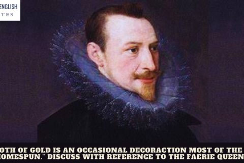 “The cloth of gold is an occasional decoraction most of the coat is homespun.” Discuss with reference to The Faerie Queene