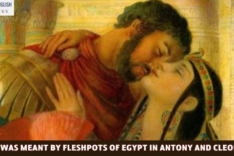 What Was Meant by Fleshpots of Egypt in Antony and Cleopatra