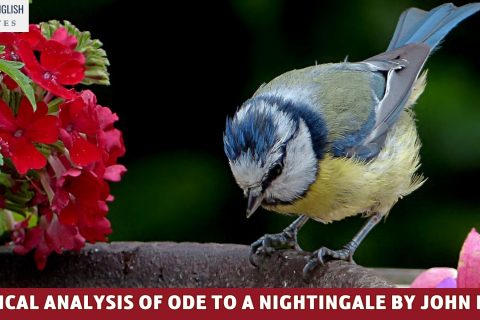 A Critical Analysis Of Ode to a Nightingale By John Keats