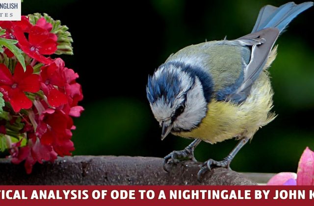 A Critical Analysis Of Ode to a Nightingale By John Keats