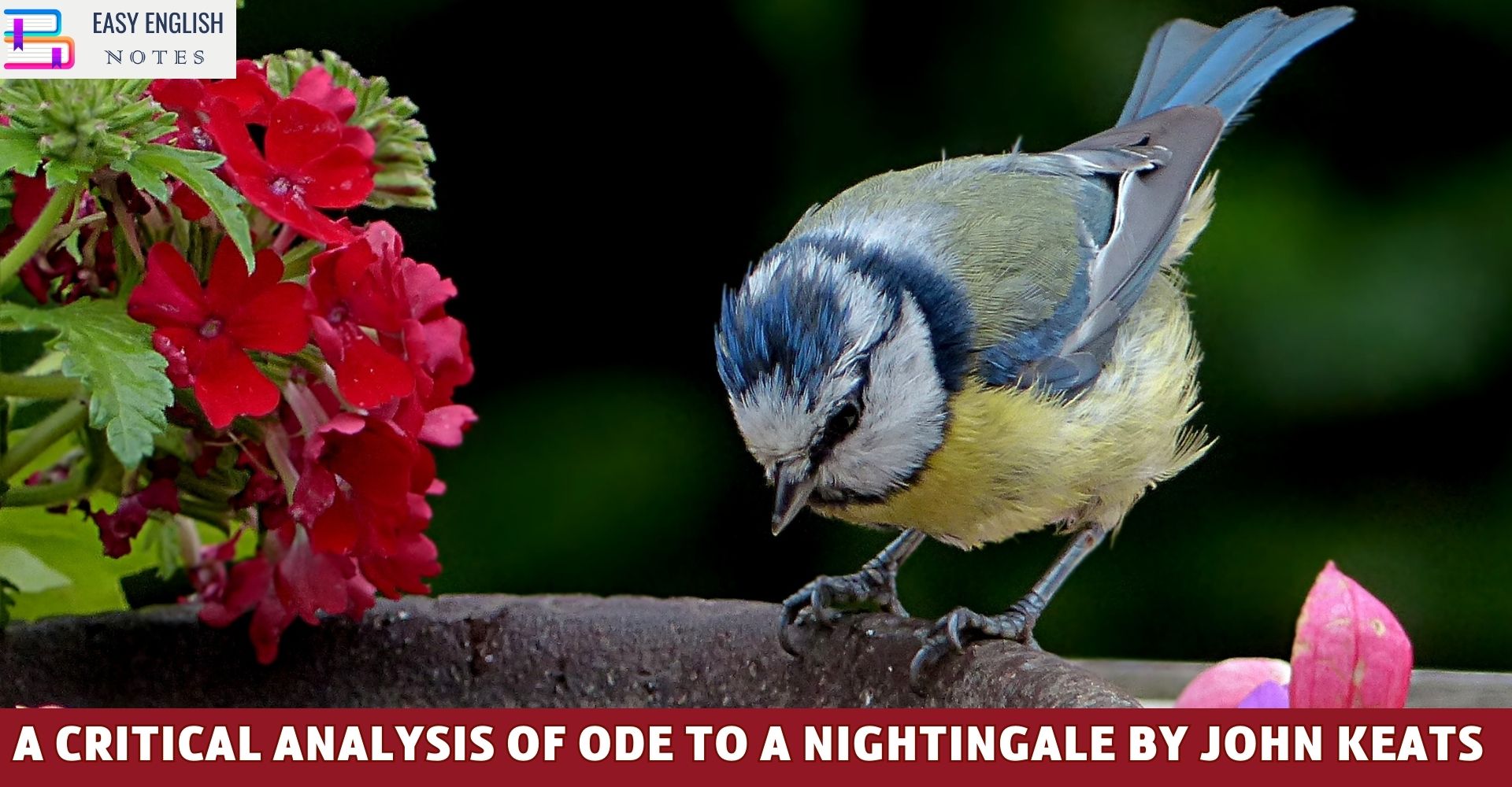 A Critical Analysis Of Ode to a Nightingale By John Keats