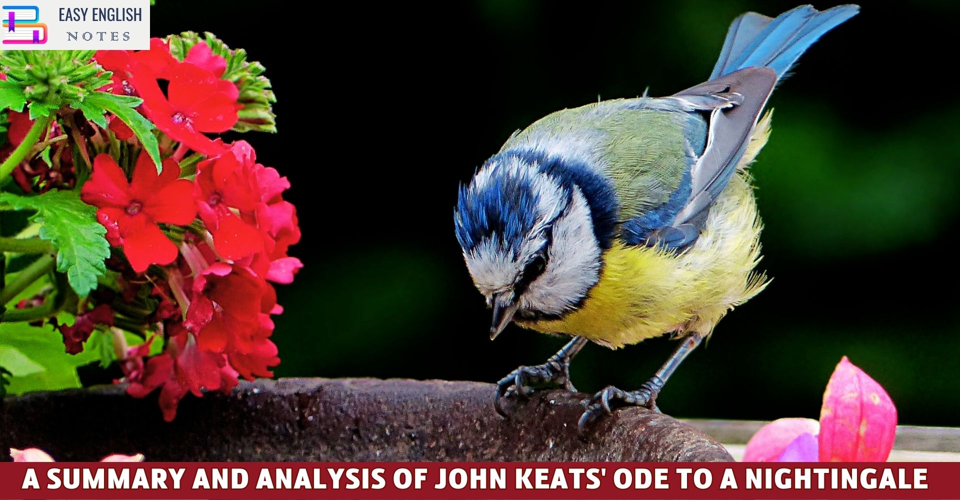 A Summary and Analysis of John Keats' Ode to a Nightingale