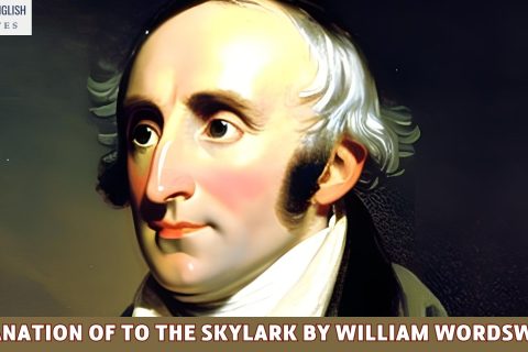 Explanation of To The Skylark by William Wordsworth