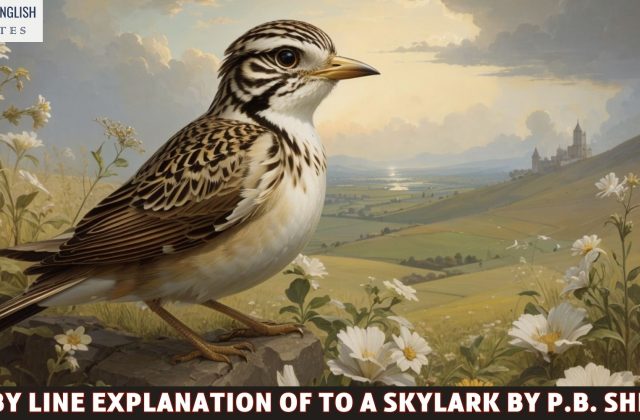Line By Line Explanation Of To A Skylark By P.B. Shelley
