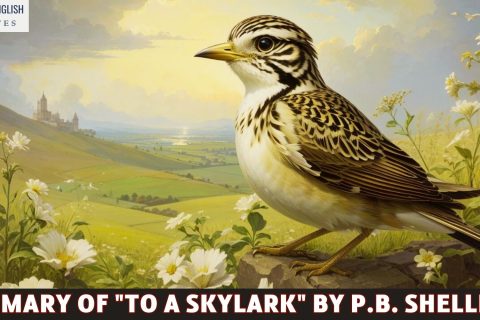 Summary of "To a Skylark" by P.B. Shelley