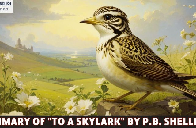 Summary of "To a Skylark" by P.B. Shelley