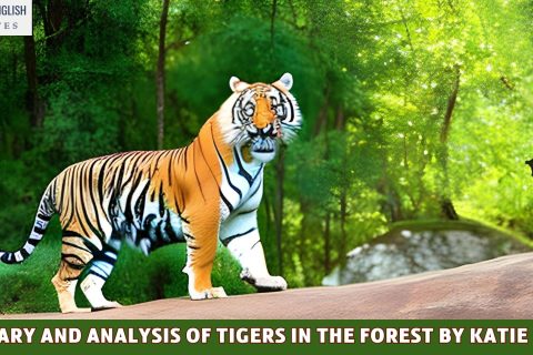 Summary And Analysis Of Tigers In The Forest by Katie Bagli