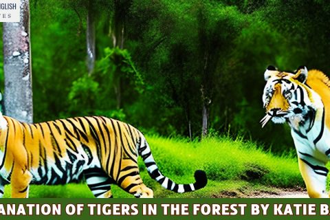 Explanation Of Tigers In The Forest By Katie Bagli