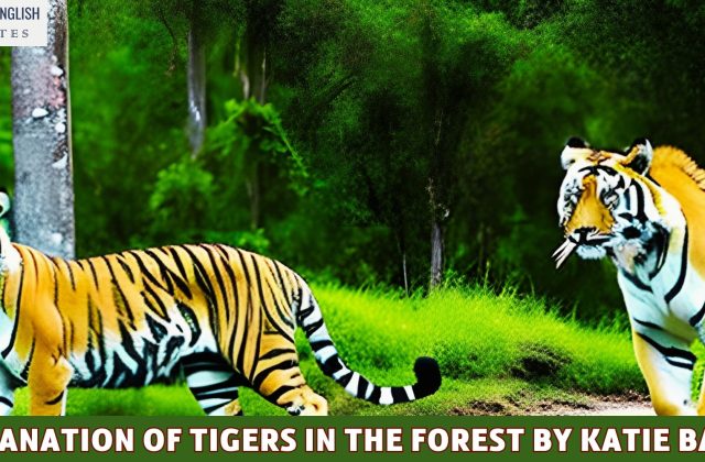 Explanation Of Tigers In The Forest By Katie Bagli