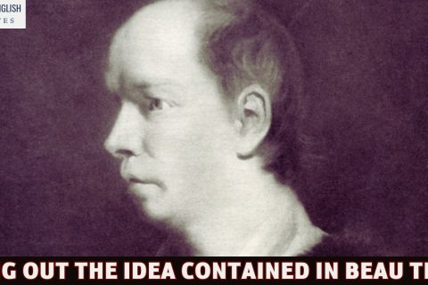Bring out the idea contained in Beau Tibbs