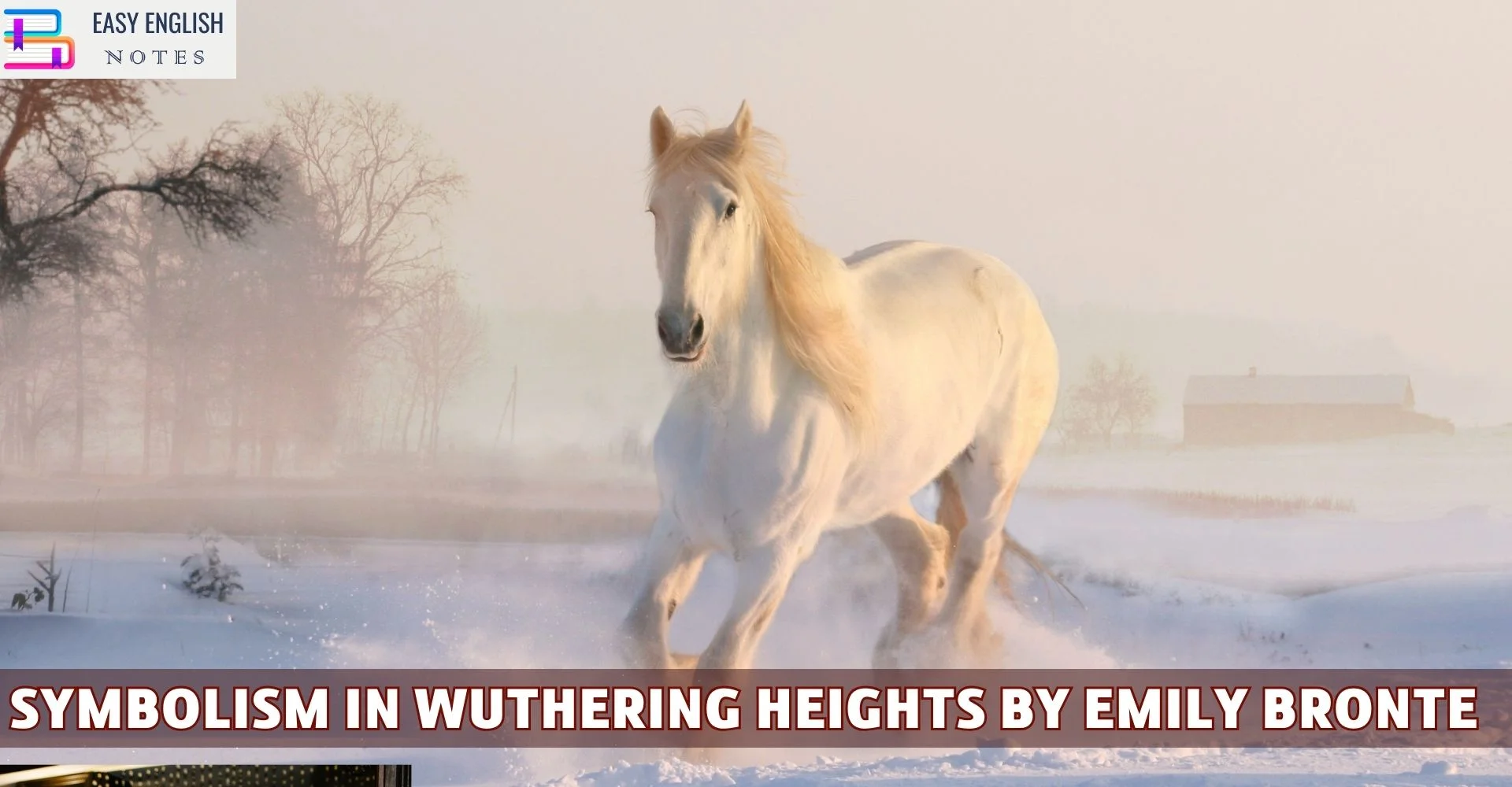 Symbolism In Wuthering Heights By Emily Bronte