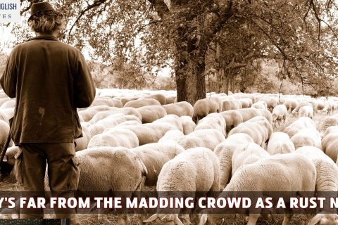 Hardy's Far From The Madding Crowd As a Rust Novel