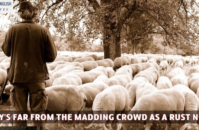 Hardy's Far From The Madding Crowd As a Rust Novel