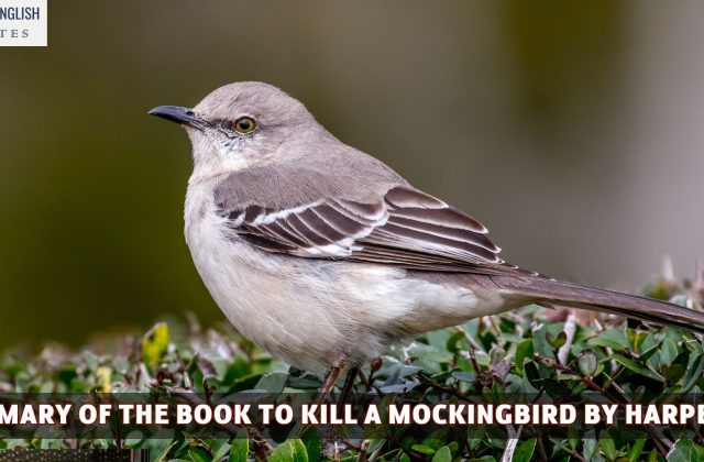 A Summary Of The Book To Kill A Mockingbird By Harper Lee