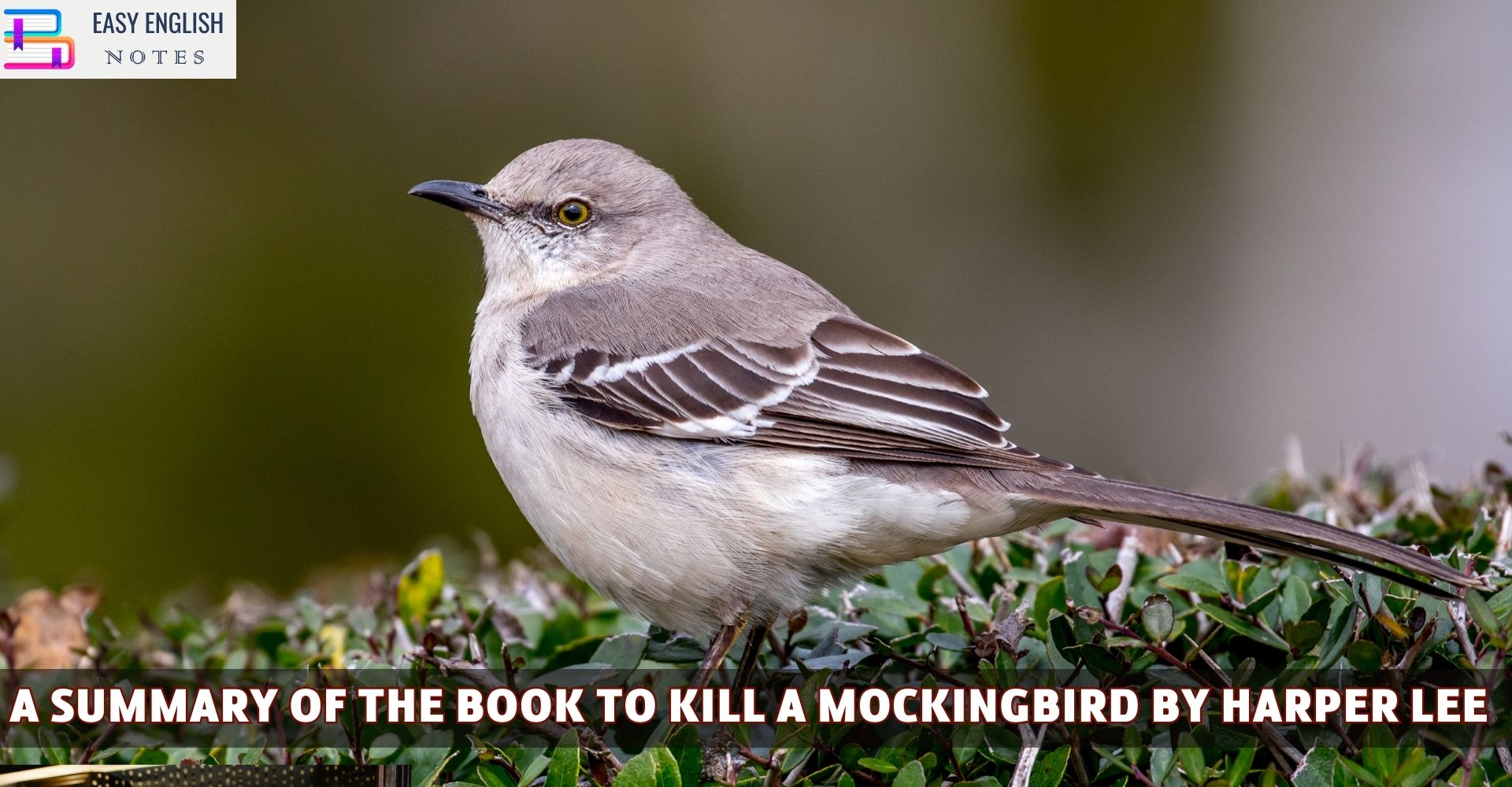 A Summary Of The Book To Kill A Mockingbird By Harper Lee