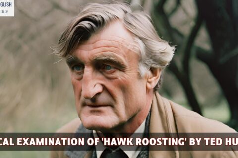 Critical Examination of 'Hawk Roosting' by Ted Hughes