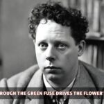 The Force that through the Green Fuse Drives the Flower' by Dylan Thomas