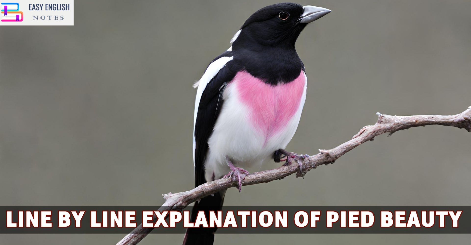 Line By Line Explanation Of Pied Beauty