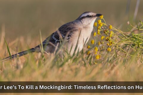 To Kill a Mockingbird