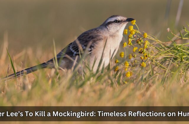 To Kill a Mockingbird